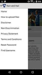 Rain and Hail Insurance screenshot 1