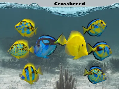 Fish Farm 2 screenshot 13