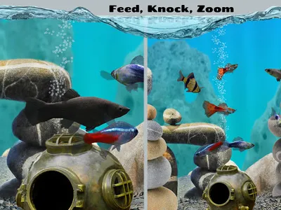 Fish Farm 2 screenshot 14