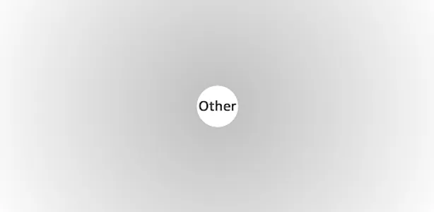 firstproject screenshot 3