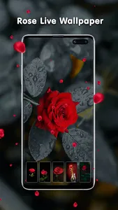 Transparent Live Wallpaper screenshot 4