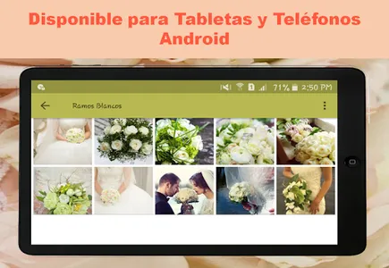 Ramos de Novia Ideas screenshot 9