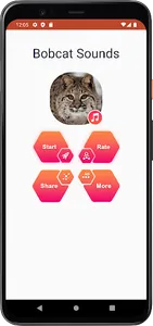 Bobcat Sounds screenshot 1