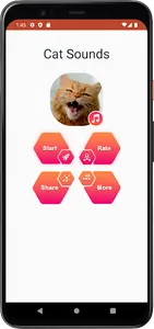 Cat Sounds screenshot 1