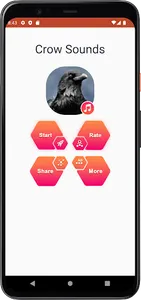 Crow Sounds screenshot 1