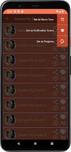 Guinea Pig Sounds screenshot 3