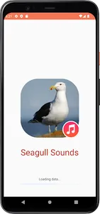 Seagull Sounds screenshot 0