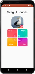 Seagull Sounds screenshot 1