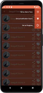 Seagull Sounds screenshot 3