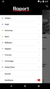 Raport screenshot 1