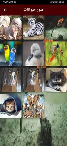 HD wallpaper (خلفيات رائعة) screenshot 10