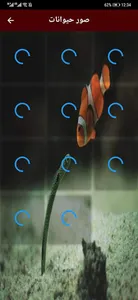 HD wallpaper (خلفيات رائعة) screenshot 3