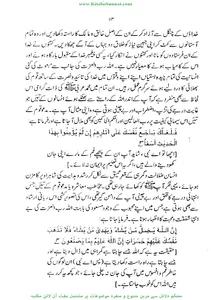 داعئی اعظم ﷺ کی عالمگیر نبوت screenshot 10