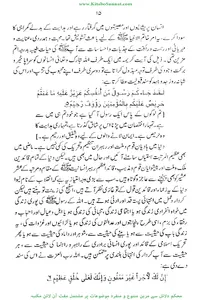 داعئی اعظم ﷺ کی عالمگیر نبوت screenshot 11