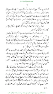 داعئی اعظم ﷺ کی عالمگیر نبوت screenshot 4