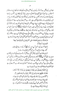 داعئی اعظم ﷺ کی عالمگیر نبوت screenshot 6