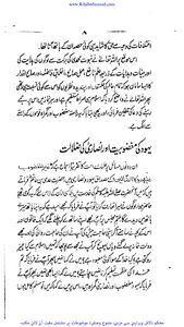 اسلام اور غیر اسلامی تہذیب screenshot 3