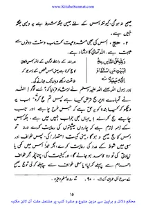 مسئلہ میلاد اسلام کی نظر میں screenshot 12
