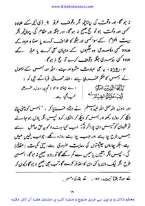 مسئلہ میلاد اسلام کی نظر میں screenshot 13