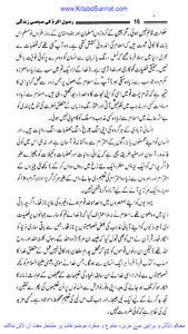 رسول اللہ ﷺ کی سیاسی زندگی screenshot 3