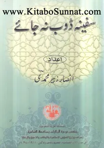 سفینہ ڈوب نہ جائے screenshot 10