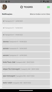 Motorista Teigro screenshot 7
