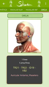Shiatsu App screenshot 1