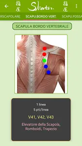 Shiatsu App screenshot 3