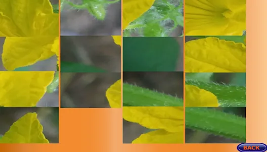 Jigsaw Nature Puzzle screenshot 3