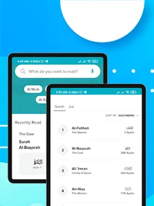 Holy Quran : القرآن الكريم screenshot 16