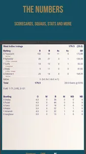 Elementary Cricket: Int'l screenshot 9