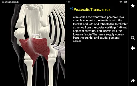 Horse Anatomy: Equine 3D screenshot 11