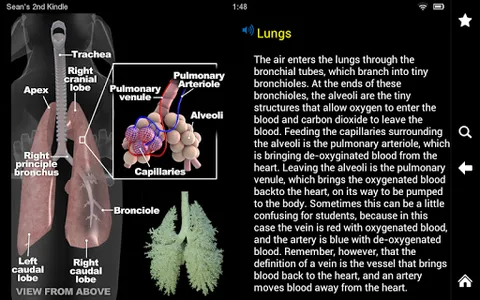 Horse Anatomy: Equine 3D screenshot 4