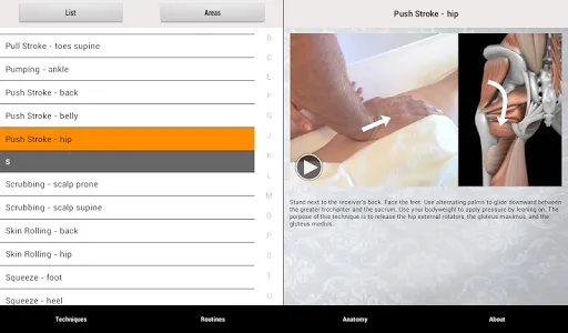 Massage Techniques screenshot 14