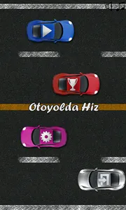 Otoyolda Hiz screenshot 0