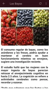 Recetas para el cerebro screenshot 2