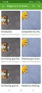 Régime Chewing-gum & Recettes screenshot 5