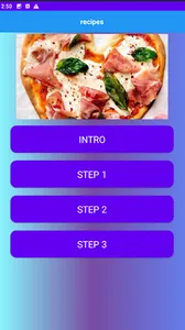 RECIPES PIZZA SALADE GUIDE screenshot 0