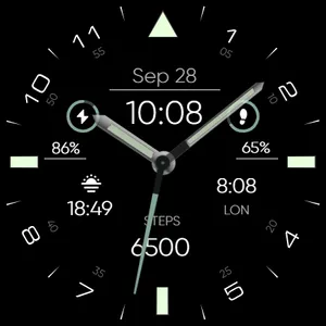 RE29 - Minimal - Wear Os screenshot 14