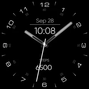 RE29 - Minimal - Wear Os screenshot 17