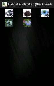 Islamic Medicine screenshot 12