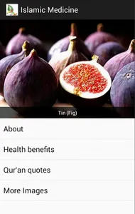 Islamic Medicine screenshot 13