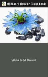 Islamic Medicine screenshot 14