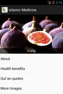 Islamic Medicine screenshot 4