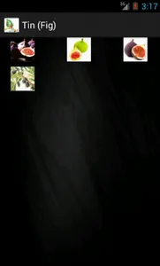 Islamic Medicine screenshot 6