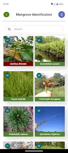Mangrove Matters screenshot 9