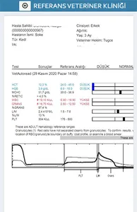 Referans Veteriner Kliniği screenshot 4