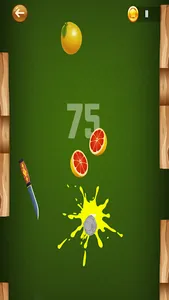 Fruit Slice Adventure screenshot 10