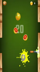 Fruit Slice Adventure screenshot 16