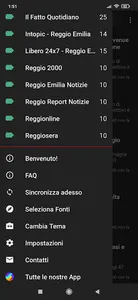 Reggio Emilia notizie screenshot 1